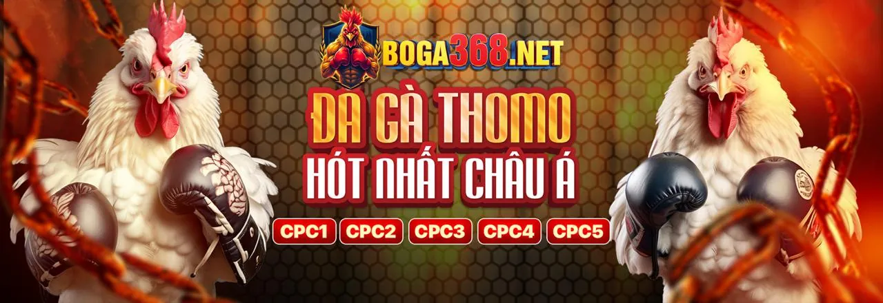 Subet Trang Chủ - Cá cược Thể Thao Trực Tuyến Đỉnh Cao